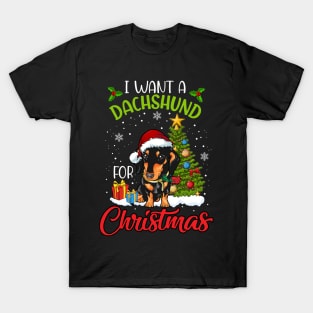 I Want A Dachshund For Christmas Cute Gift Xmas Costume T-Shirt